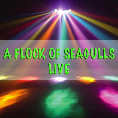 A Flock Of Seagulls - Live's cover