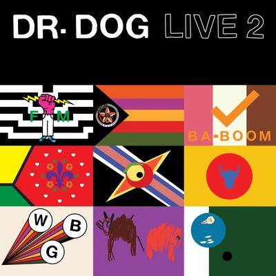 Where'd All The Time Go? (Live) By Dr. Dog's cover