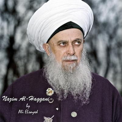 Nazim Al-Haqqani's cover