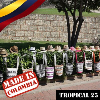 Made In Colombia: Tropical, Vol. 25's cover