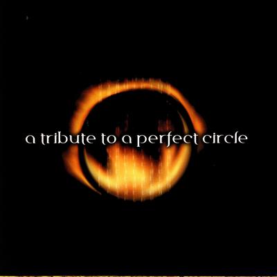 Various Artists - A Perfect Circle Tribute's cover