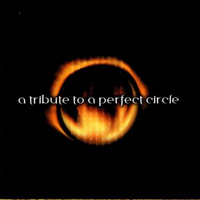 3 Libras By Various Artists - A Perfect Circle Tribute's cover