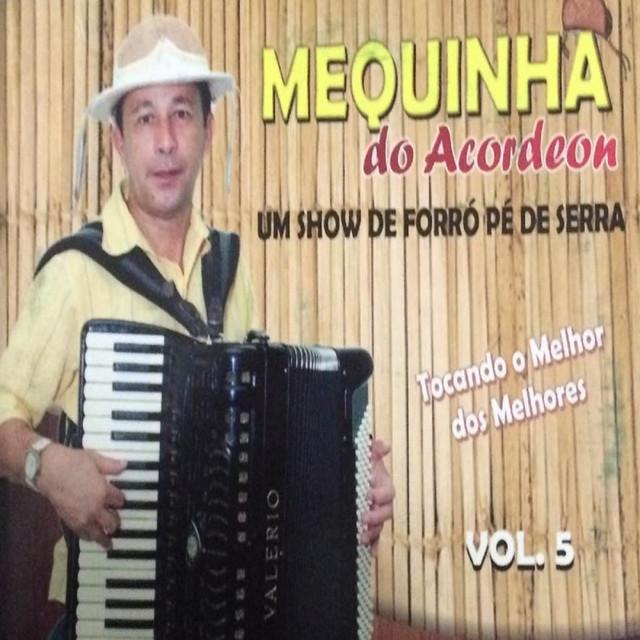 Mequinha do Acordeon's avatar image