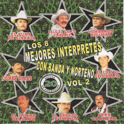 Los 8 Mejores Interpretes Con Banda y Norteno 20 Exitos de Coleccion's cover