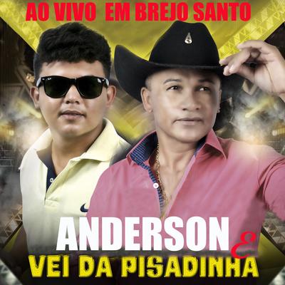 Pisadinha Estouro (Ao Vivo) By Anderson & Vei da Pisadinha's cover