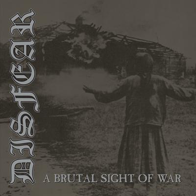 A Brutal Sight of War By Disfear's cover