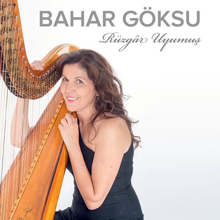 Bahar Göksu's avatar image