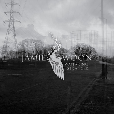 Wayfaring Stranger By Jamie Woon's cover