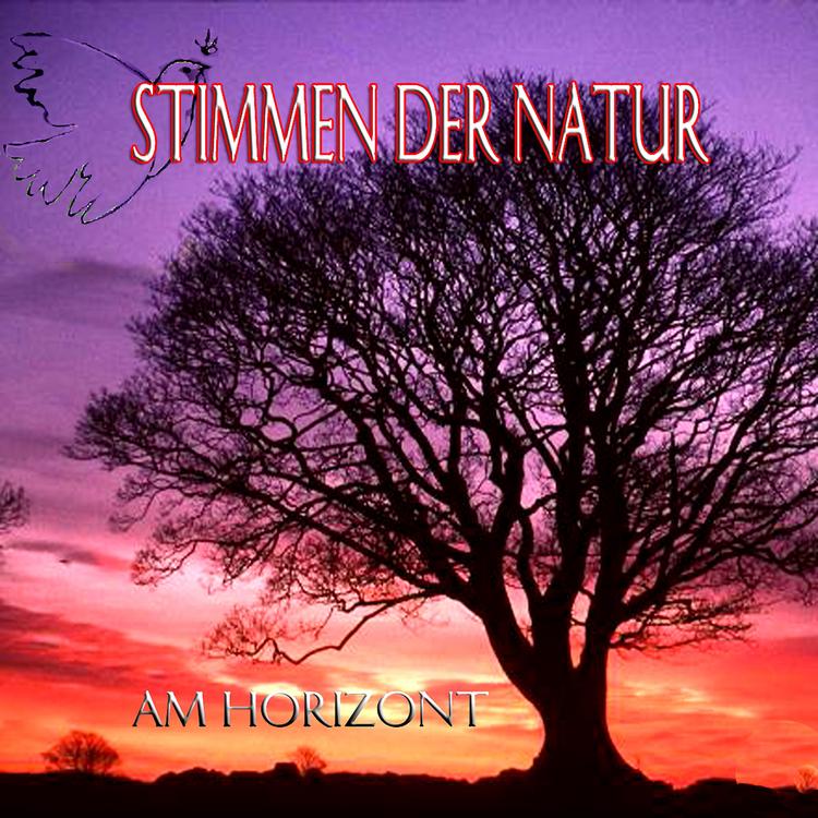 Stimmen der Natur's avatar image