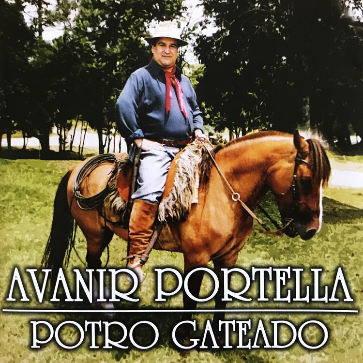 Avanir Portella's avatar image