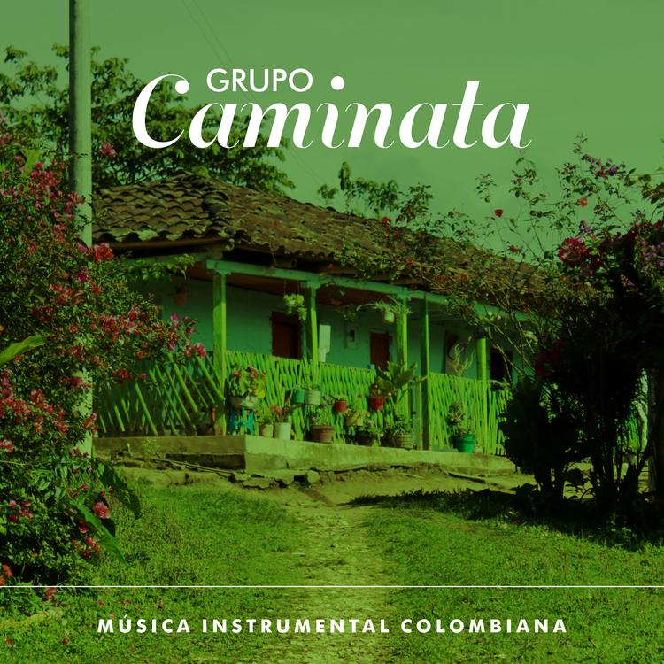 Grupo Caminata's avatar image