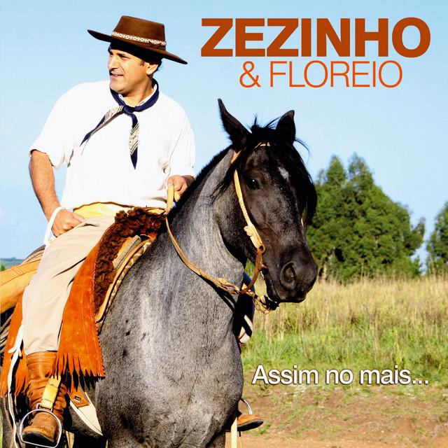 Zezinho & Grupo Floreio's avatar image