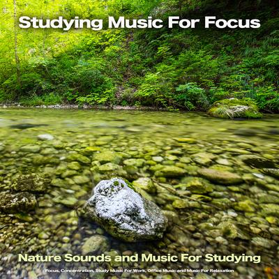 Studying Music For Focus By Concentration Music for Work, Studying Music For Focus, Easy Listening Background Music's cover