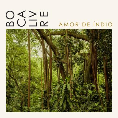 Amor de Índio By Boca Livre's cover