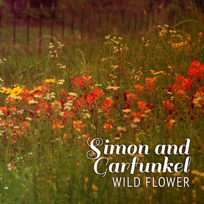 Wild Flower's cover