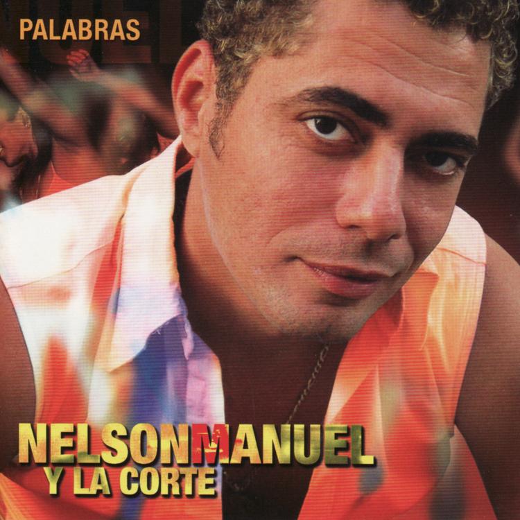 Nelson Manuel's avatar image