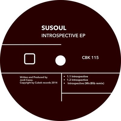 1.2 Introspective (Original Mix)'s cover