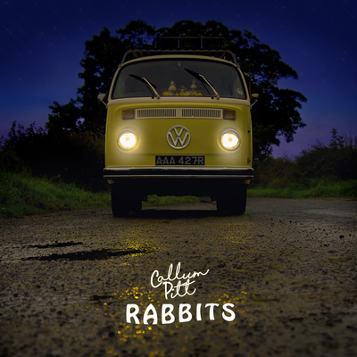 Rabbits By Callum Pitt's cover