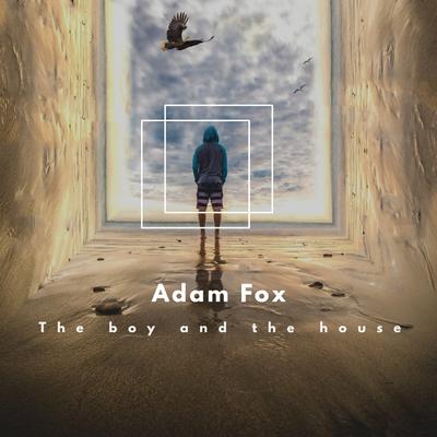 The boy and the house's cover
