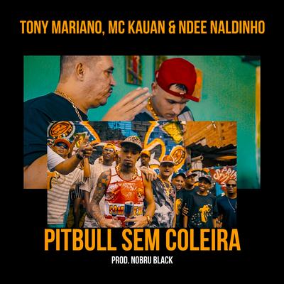 Pitbull Sem Coleira By Nobru Black, Tony Mariano, Mc Kauan, Ndee Naldinho's cover