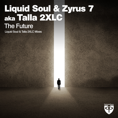 The Future (Liquid Soul Radio Edit) By Liquid Soul, Zyrus 7, Talla 2XLC's cover