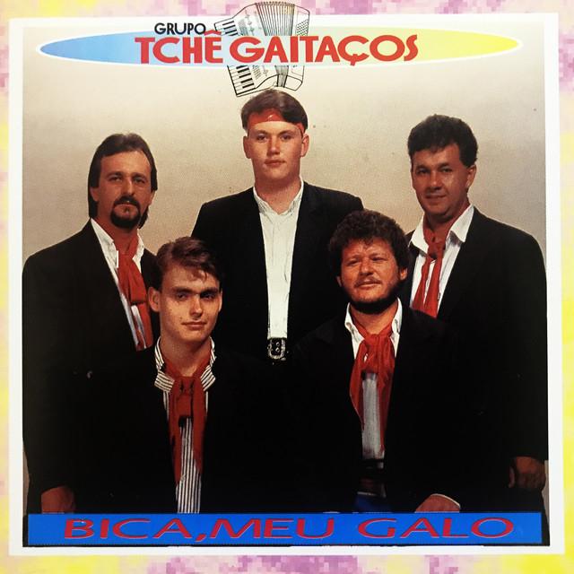 Grupo Tchê Gaitaços's avatar image