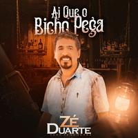 Zé Duarte's avatar cover