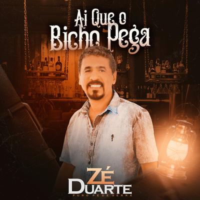Zé Duarte's cover