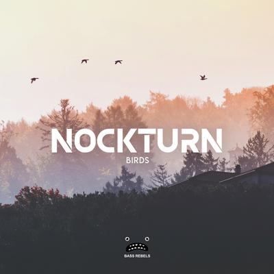 Birds (Original Mix) By Nockturn's cover