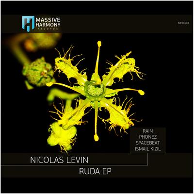 Ruda (rAin Remix)'s cover
