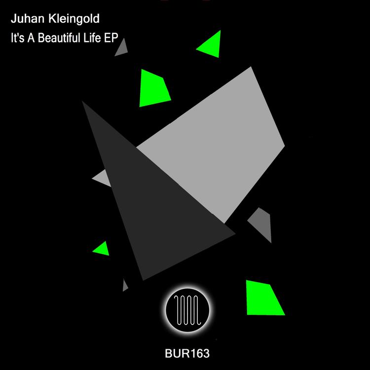 Juhan Kleingold's avatar image