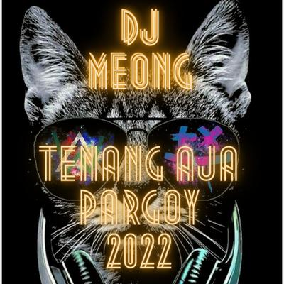 DJ Meong's cover