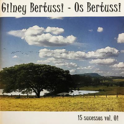 Gilney Bertussi & Os Bertussi Nova Geração's cover