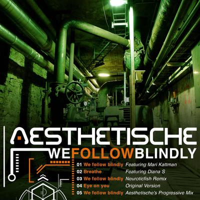 We Follow Blindly (Progressive Mix) By Aesthetische's cover