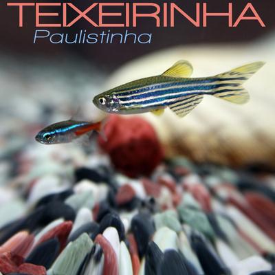 Paulistinha By Teixeirinha's cover