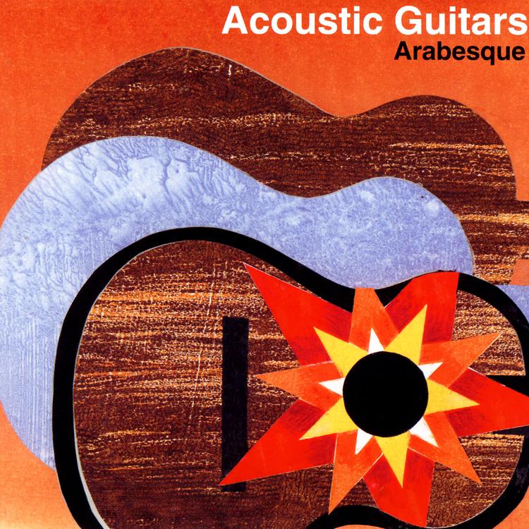 Acoustic Guitars's avatar image