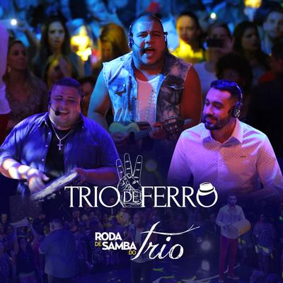 Vale Tudo: Descobridor dos Sete Mares (Ao Vivo) By Trio de Ferro's cover