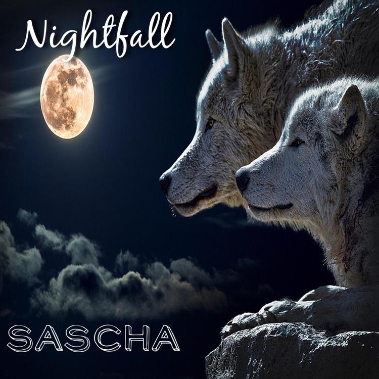 Sascha's avatar image
