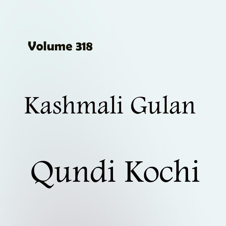 Qundi Kochi's avatar image