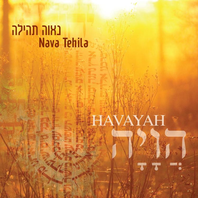 Nava Tehila's avatar image