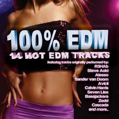 100% EDM (14 Hot EDM Tracks)'s cover