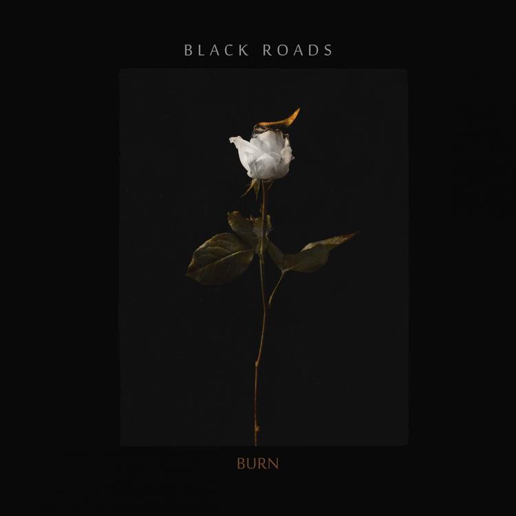 Black Roads's avatar image