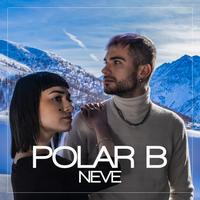 Polar B's avatar cover