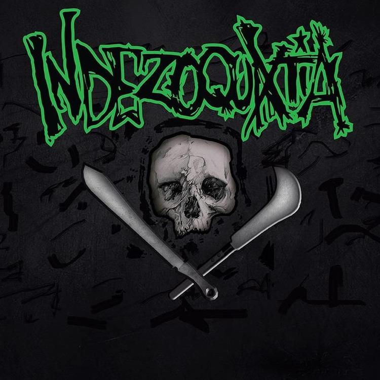 Indezoquixtia's avatar image
