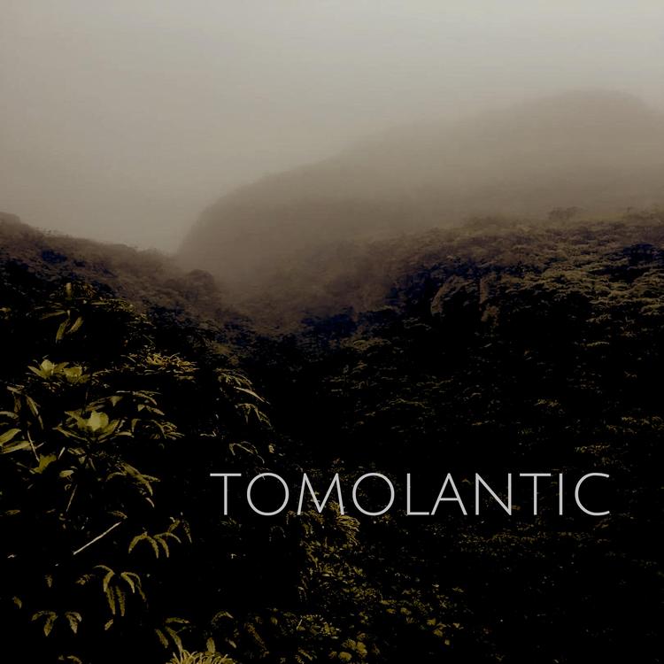 Tomolantic's avatar image