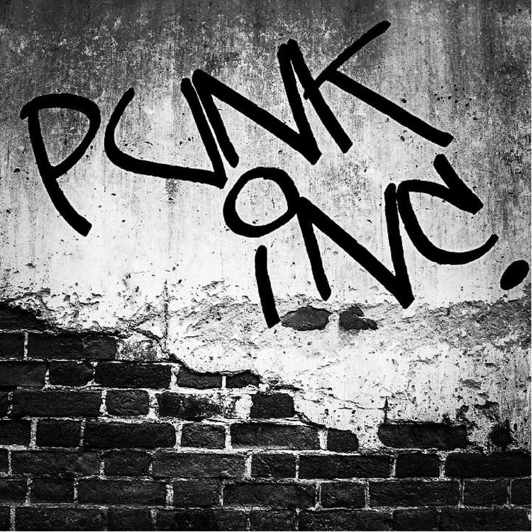 Punk Inc.'s avatar image