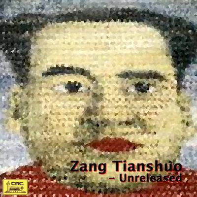 Zang Tianshuo's cover