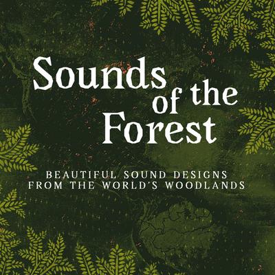 Sounds of the Forest's cover