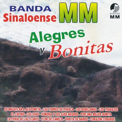 De Mazatlán a Acaponeta By Banda Sinaloense MM's cover