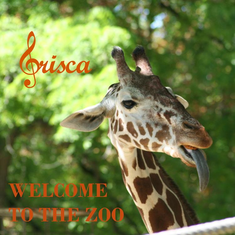 Grisca's avatar image